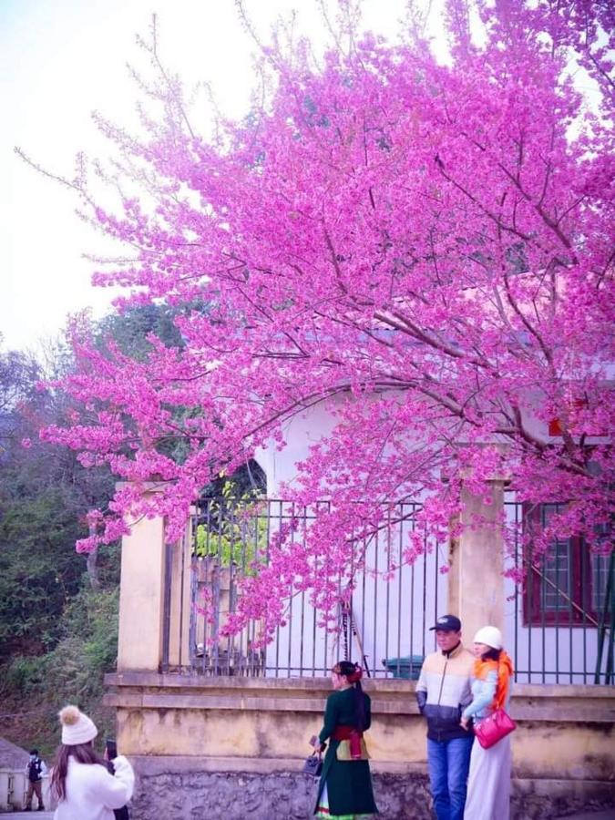 Nha Nghi T&T Hotell Dong Van  Exteriör bild