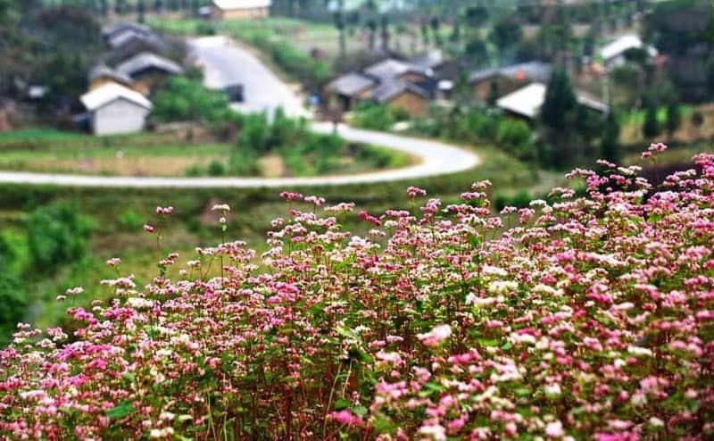 Nha Nghi T&T Hotell Dong Van  Exteriör bild